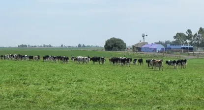 ¿Cuánto ponen los productores de los US$ 100 millones del agro al Fondo Coronavirus?