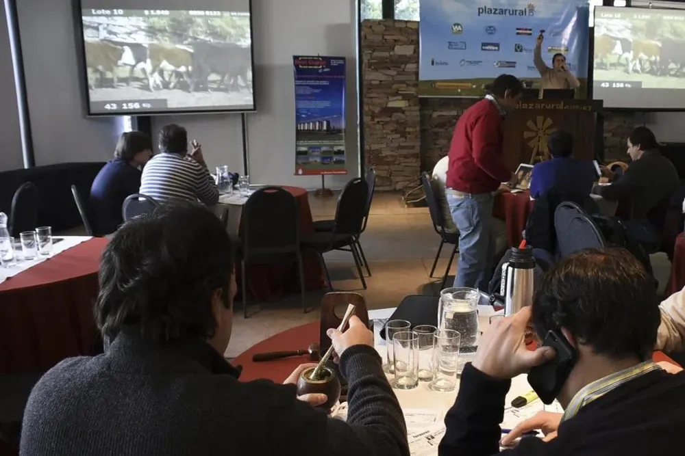 Un nuevo remate de Plazarural con colocación prácticamente total.