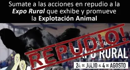 gauchos corrieron a animalistas a rebencazos en expo rural en buenos aires