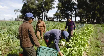 para el ministro de ganaderia, trabajadores rurales son orgullo de la patria