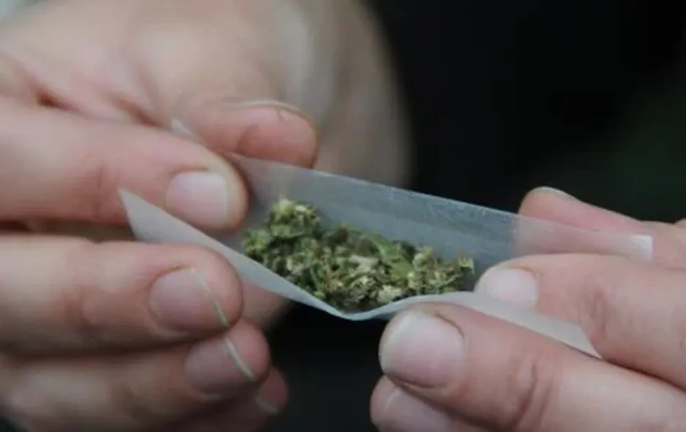 Consumo de marihuana