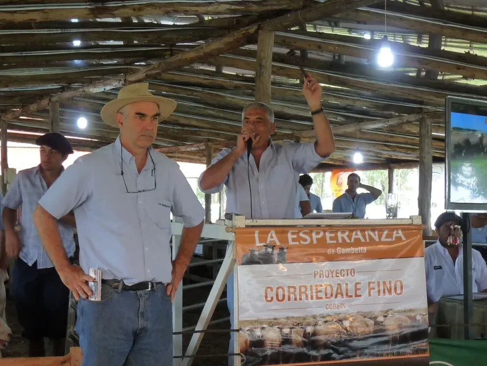 Alejandro Gambetta y Darío Marrero en el remate