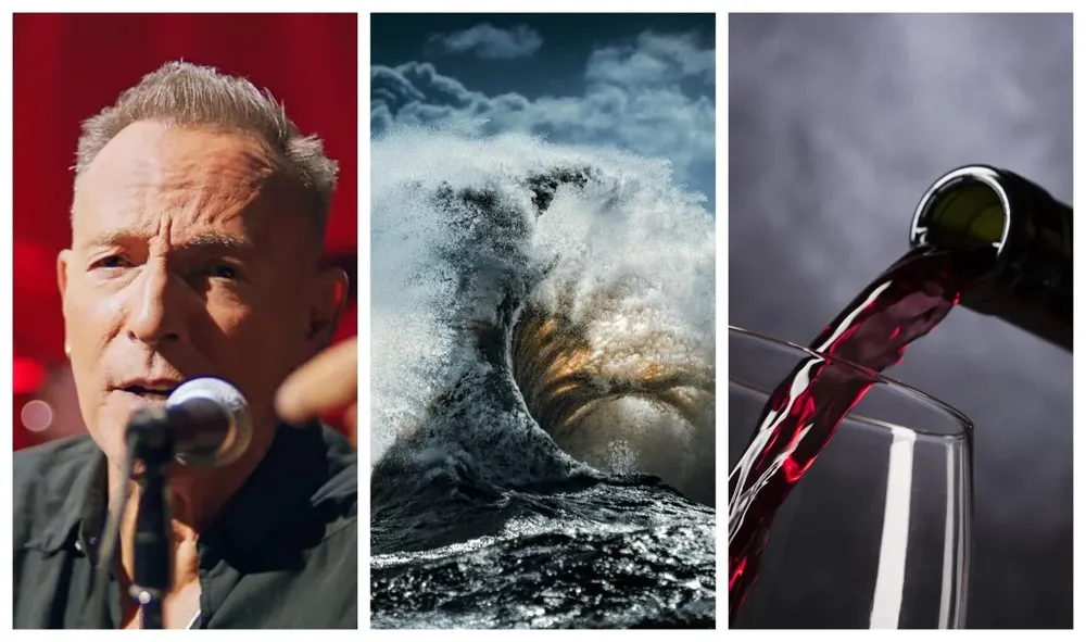 Música, arte y gastronomía, en el Picnic de hoy