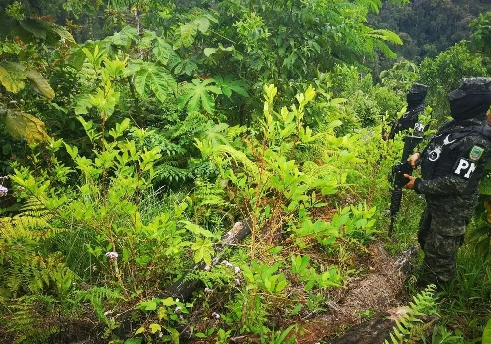 Honduras era considerada como un puente para la cocaína que iba hacia Europa, pero desde 2017 comenzaron a incautarse centros de elaboración de la droga.
