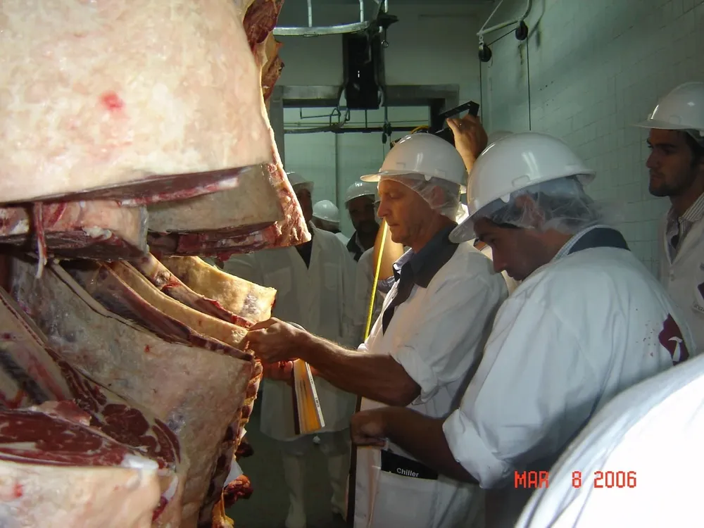 Las exportaciones de carne vacuna cayeron por cuarto mes consecutivo.