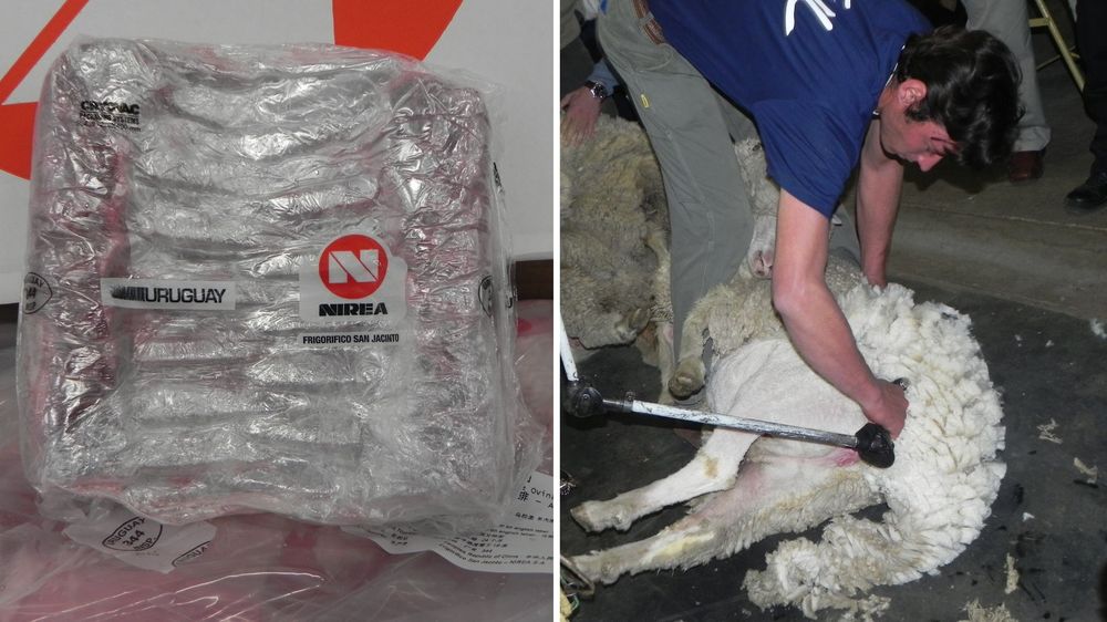 Lanas y carne ovina: cerca de pasar la barrera de los US$ 200 millones de ingresos por exportaciones.