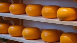 Lácteos: Uruguay coloca en el exterior leches en polvo, manteca y quesos.