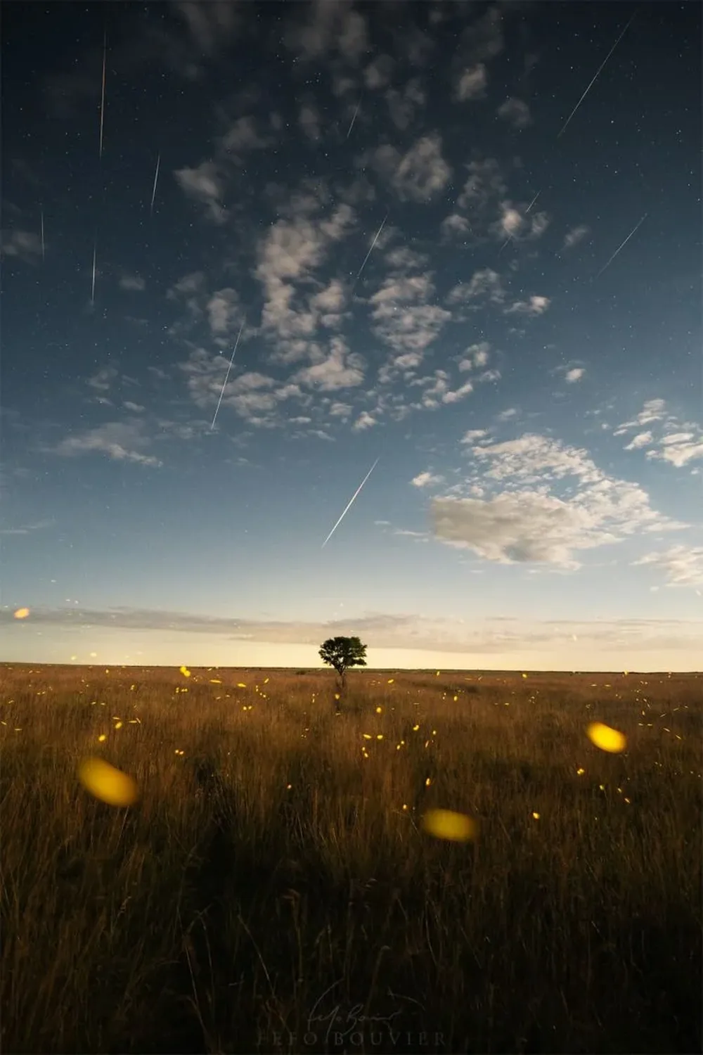 Gemínidas del Sur premiada el 16/12/21.