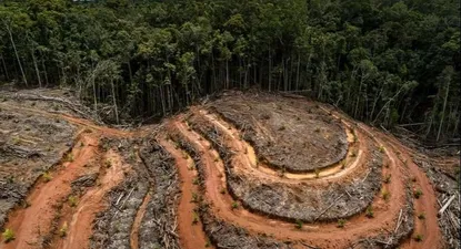 Para comprender el proceso de deforestación es necesario comprender no sólo sus causas más visibles –como la tala y la extracción ilegal de madera, o el avance del agronegocio y la minería–, sino, sobre todo, las causas subyacentes