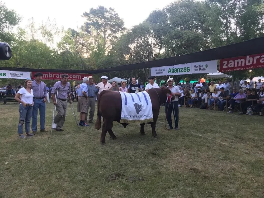 Gran Campeón de Victoria Pérez Pardavilla.