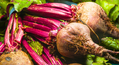 El Observador | 66f57f95a8d7e.png