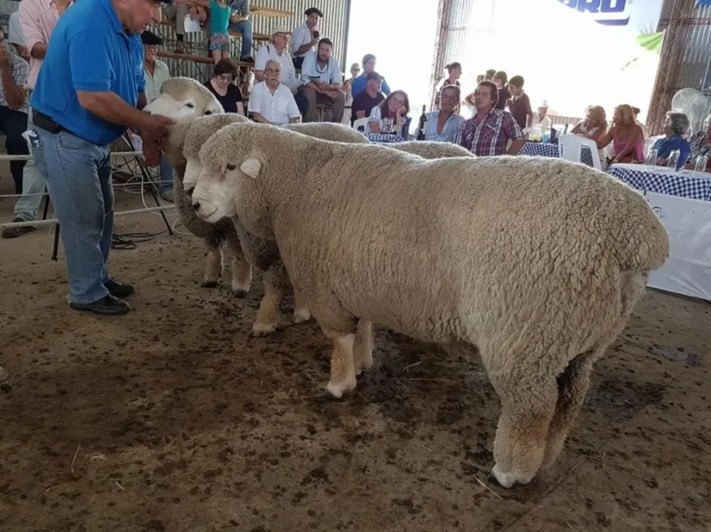 Excelente oferta presentaron La Lucha y El Triángulo este miércoles en Soriano