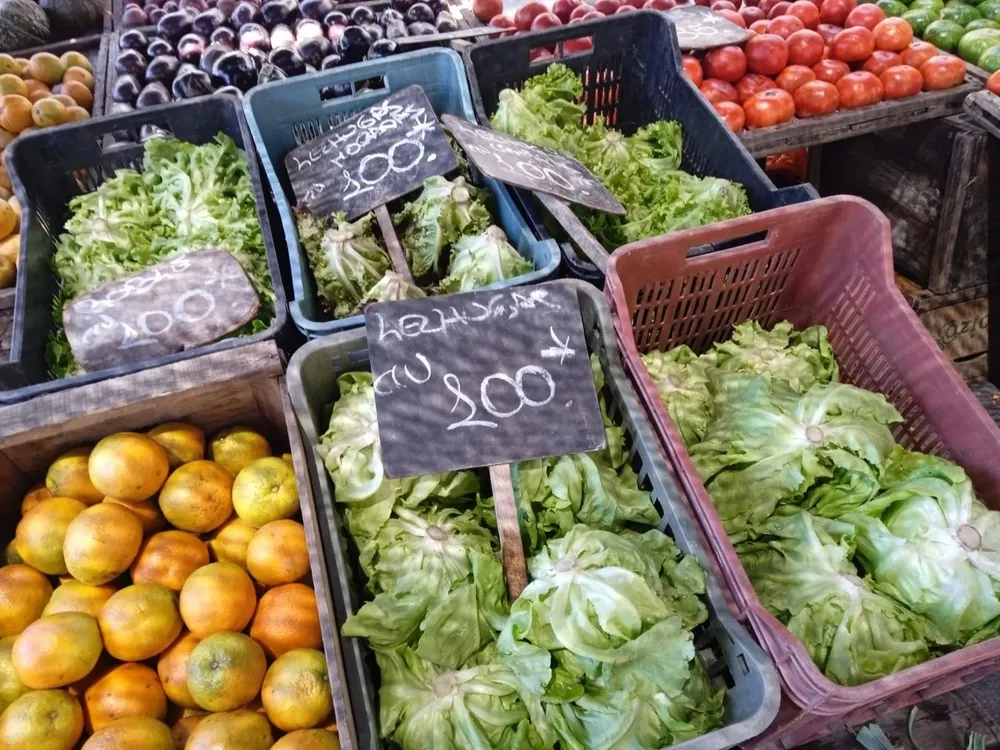 Entre los precios que más subieron en el mes se encontraron la lechuga (19,3%), el zapallito (33,4%), el tomate (16,3%) y limones (22,5%).