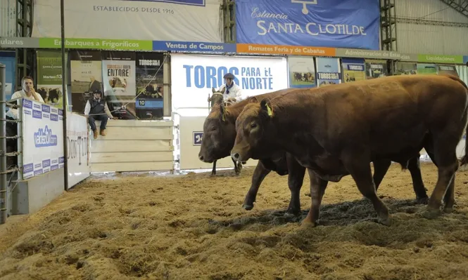 Gran remate de Santa Clotilde con Valdez