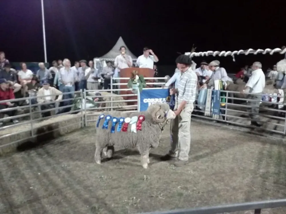 Gran Campeón de Galpón de Los Tordos por el que se pagó US$ 5.700