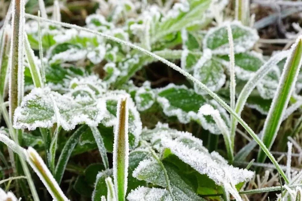 El pronóstico de Inumet para este martes 4 de junio