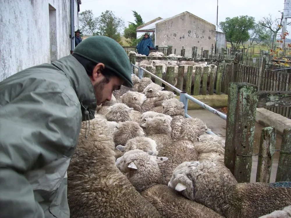 Expectativa en los productores