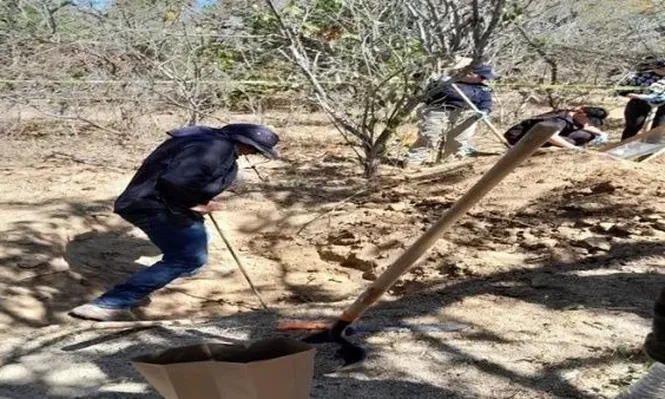 La Comisión Estatal de Búsqueda de Personas informó que el hallazgo se produjo después de una denuncia anónima.