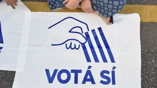 Referéndum contra la LUC