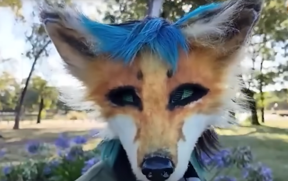 Captura de pantalla 2026-02-19 094139