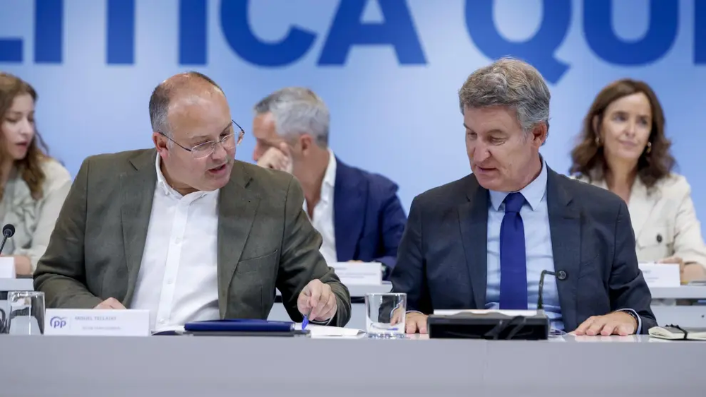 Núñez Feijóo en la reunión del Comité Ejecutivo Nacional. EFE