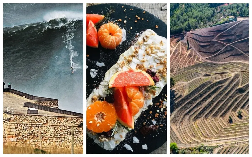 Olas gigantes, budines y fotos del planeta, en esta edición de Picnic!