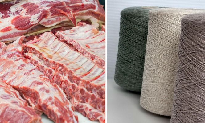 Exportaciones de carne ovina y lanas con mejores indicadores.