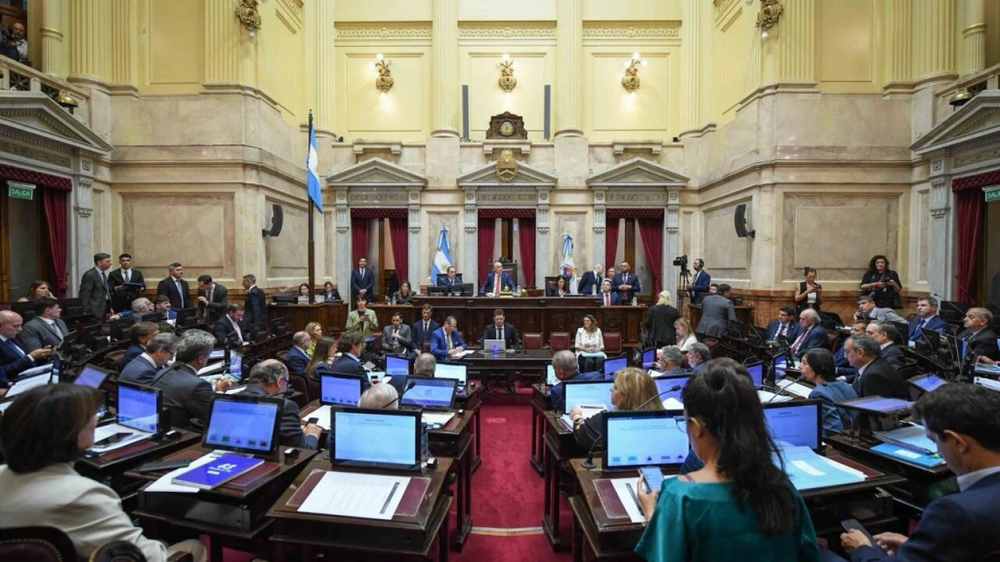 Emergencia-en-discapacidad-y-DNU