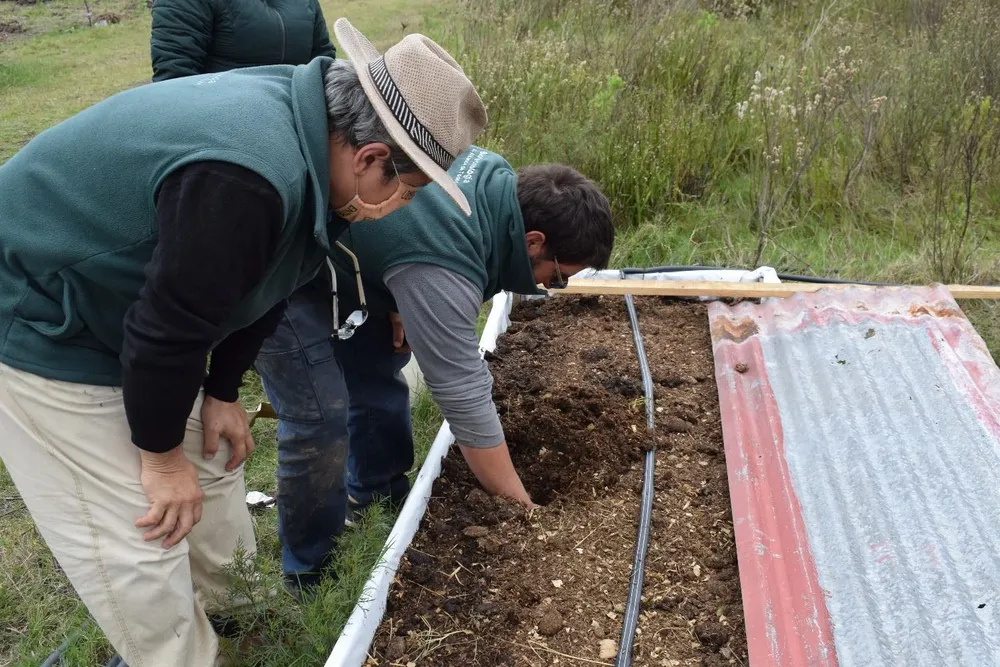 Fernando Muñoz, se dedicó a la cría de lombrices rojas californianas hace siete años.