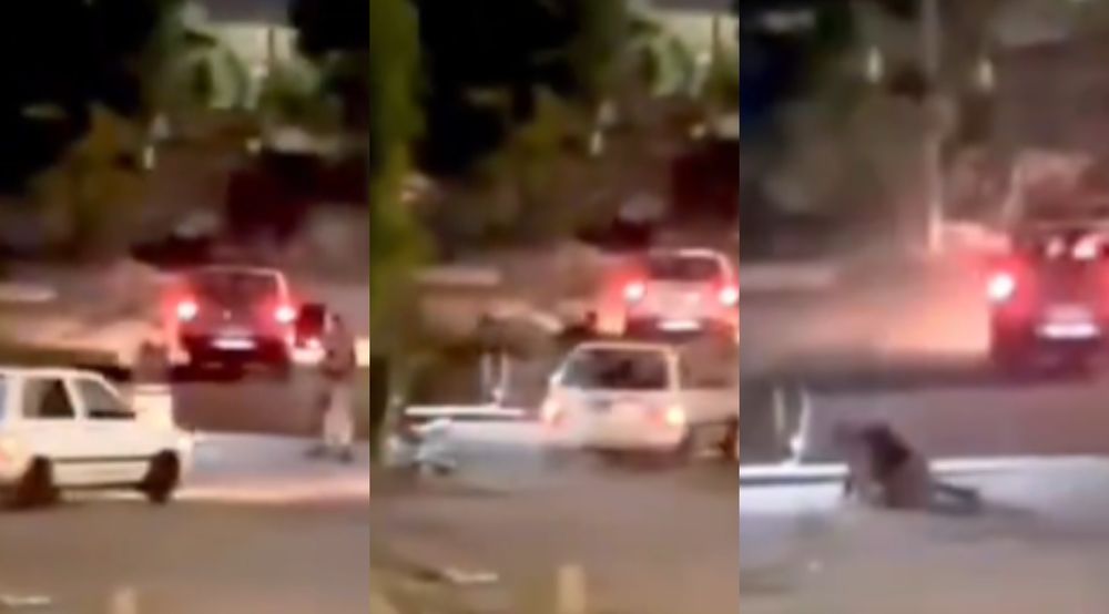 Sindicato de la Guardia Republicana denunció ataque contra policías