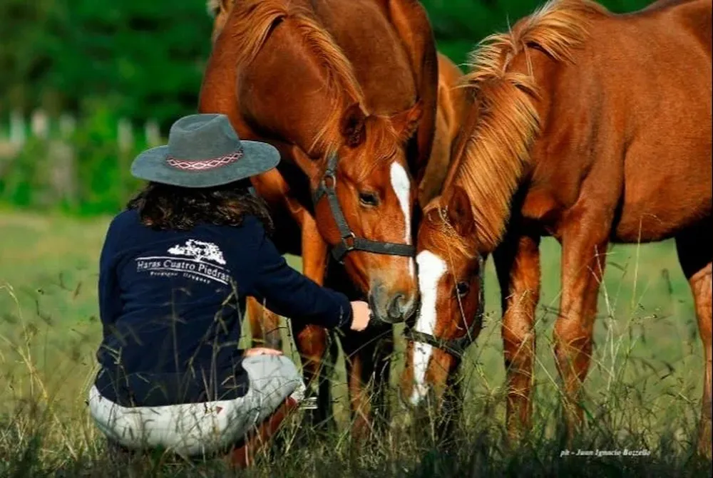 El club hípico Monte Nativo es una innovadora propuesta del haras Cuatro Piedras.