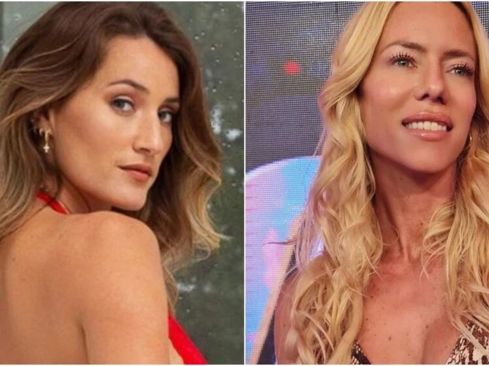 Viciconte apeló a una fábula para chicanear a Nicole Neumann.