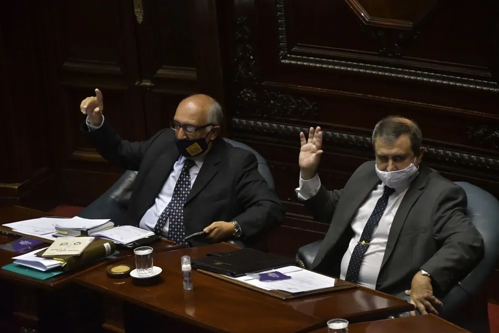 Los senadores de Cabildo Abierto, Guillermo Domenech y Raúl Lozano, en el plenario