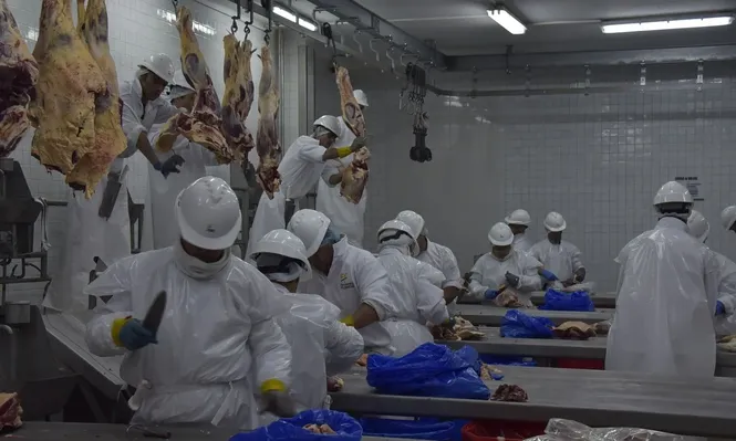 INAC actualizó los datos relacionados con ingresos por exportaciones de carnes.