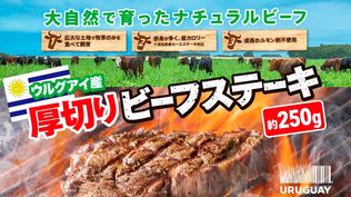 Japón, el mercado en el que se desarrollará la primera gran feria internacional vinculada a la agroindustria de la carne con presencia uruguaya.