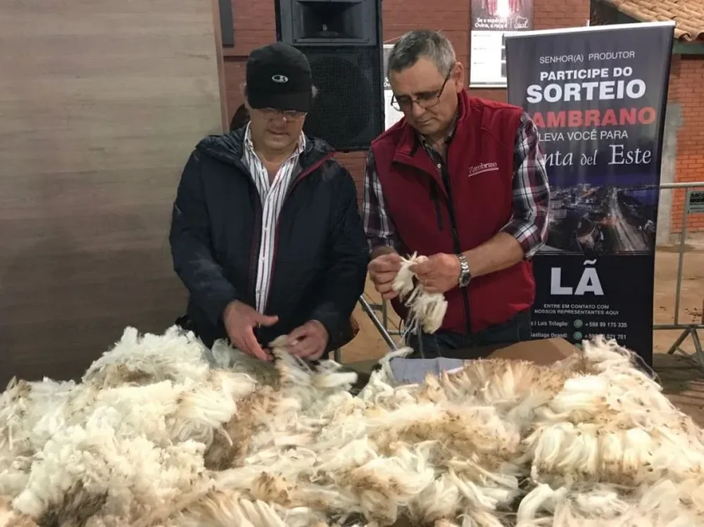 Djalma Puppo y José Luis Trifoglio calificando uno de los vellones Ideal