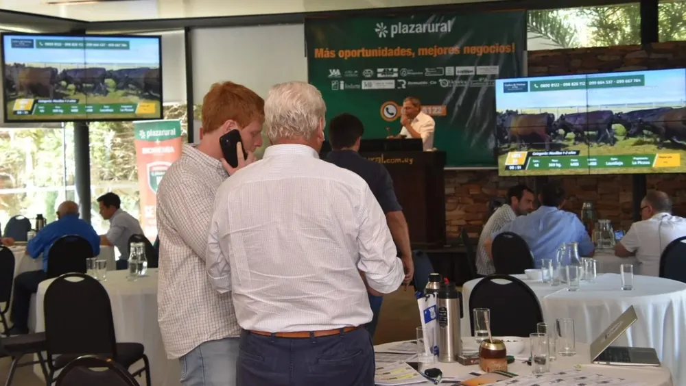 El último remate de Plaza Rural, desde el Cottage.