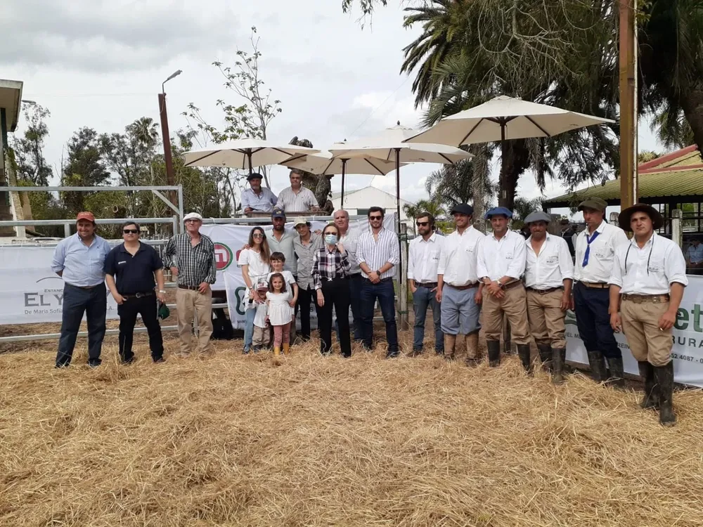 El remate se hizo en Treinta y Tres.