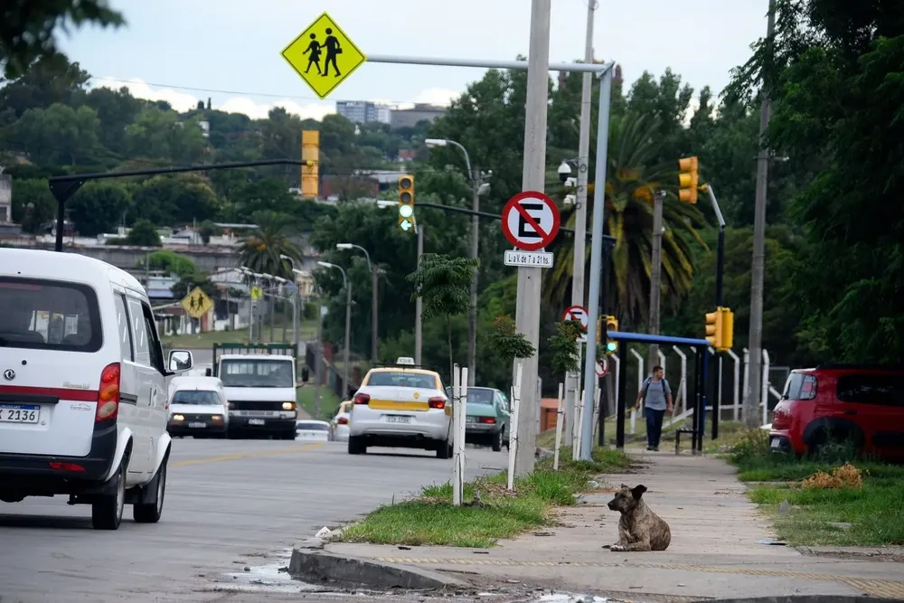 Avenida San Martín, Montevideo