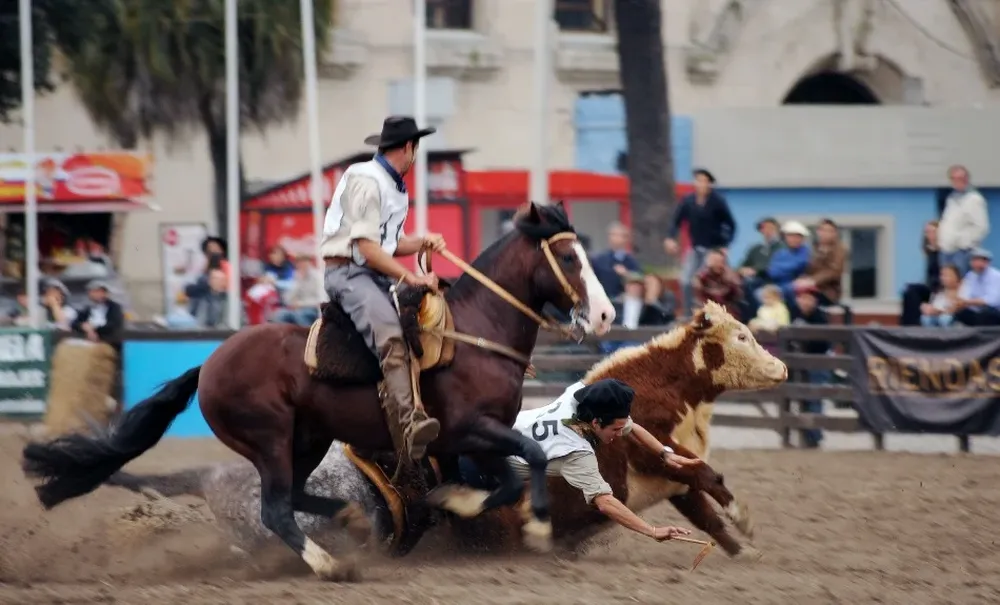Juan Pablo González, pese a la caída, fue electo mejor jinete