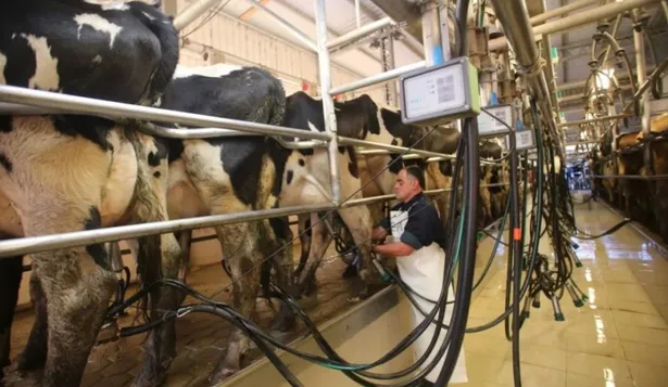 Crisis en Calcar se extiende al resto de producción con paros en toda la industria