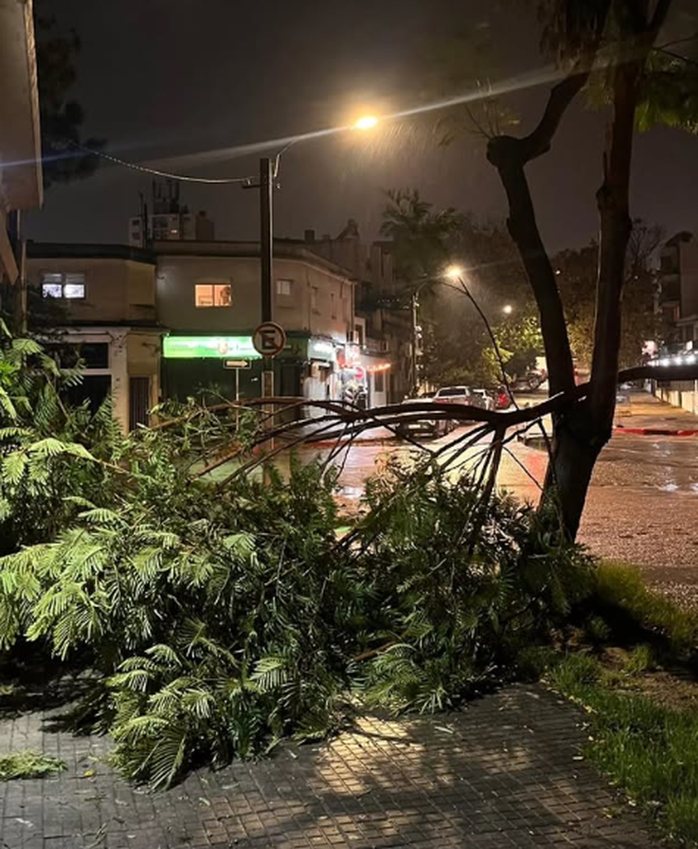 Captura de pantalla 2026-04-08 072953