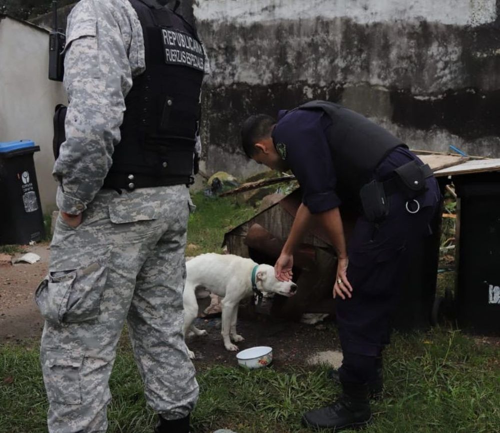 Policías se acercan a uno de los perros abandonados en Las Piedras