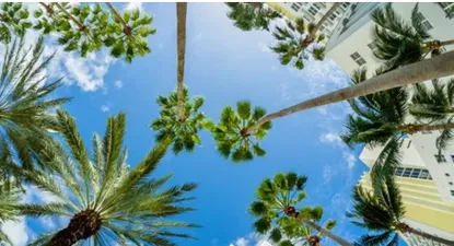 Vacaciones de verano low cost en Miami Beach