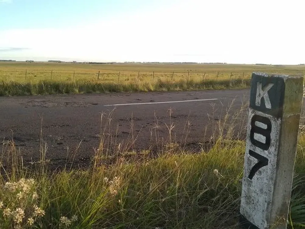 El campo a rematar está ubicado frente al kilómetro 87, en la Ruta Nacional Nro. 30.