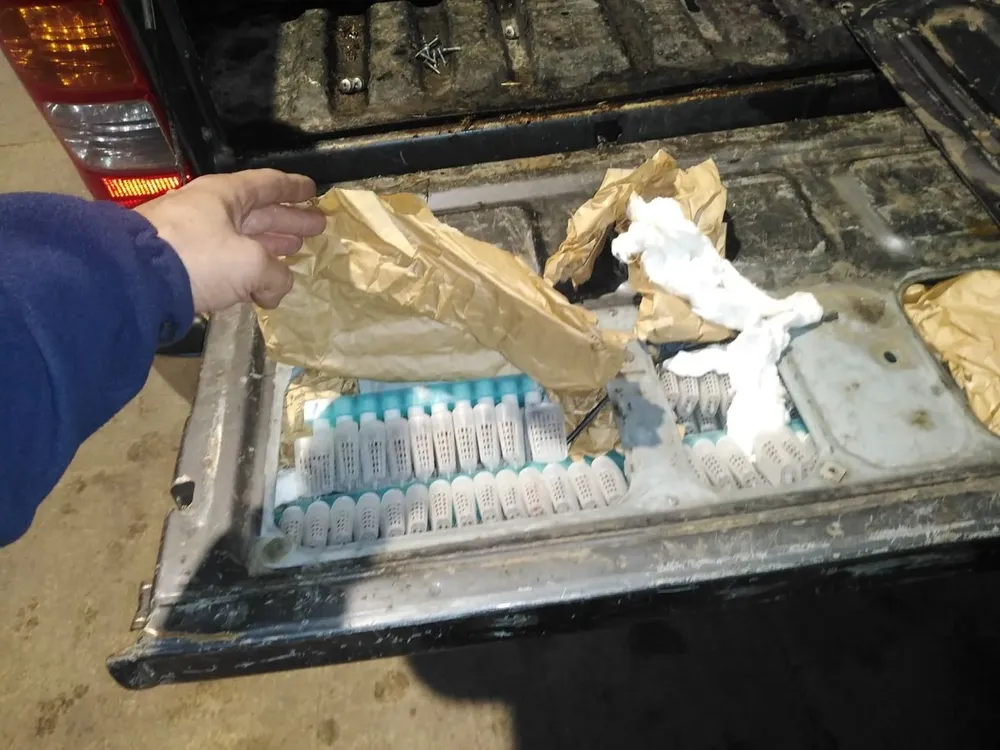 Así encontraron a las 200 abejas reina en un control en el puente San Martín