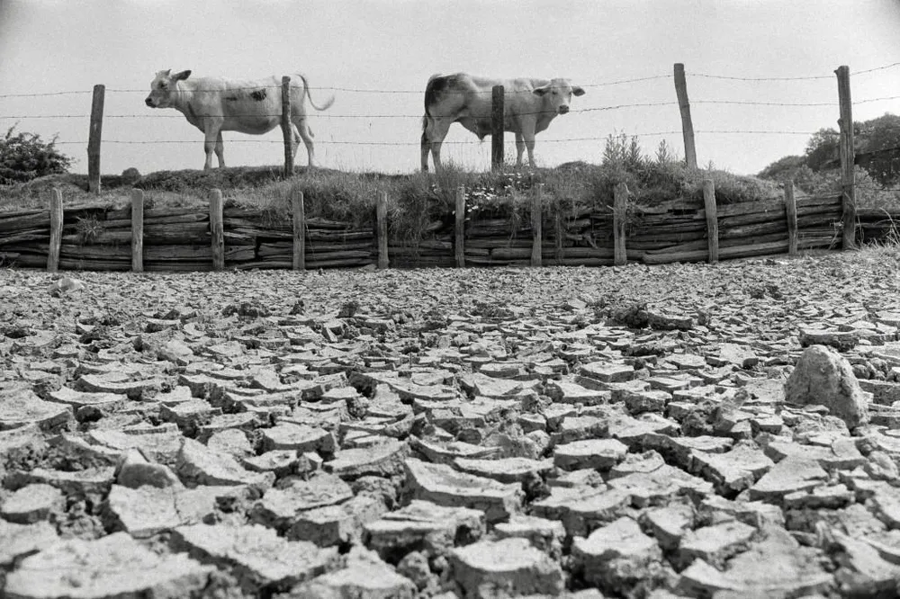 Hay un 50% de probabilidades de que la temperatura global alcance temporalmente los 1,5°C por encima de la era preindustrial