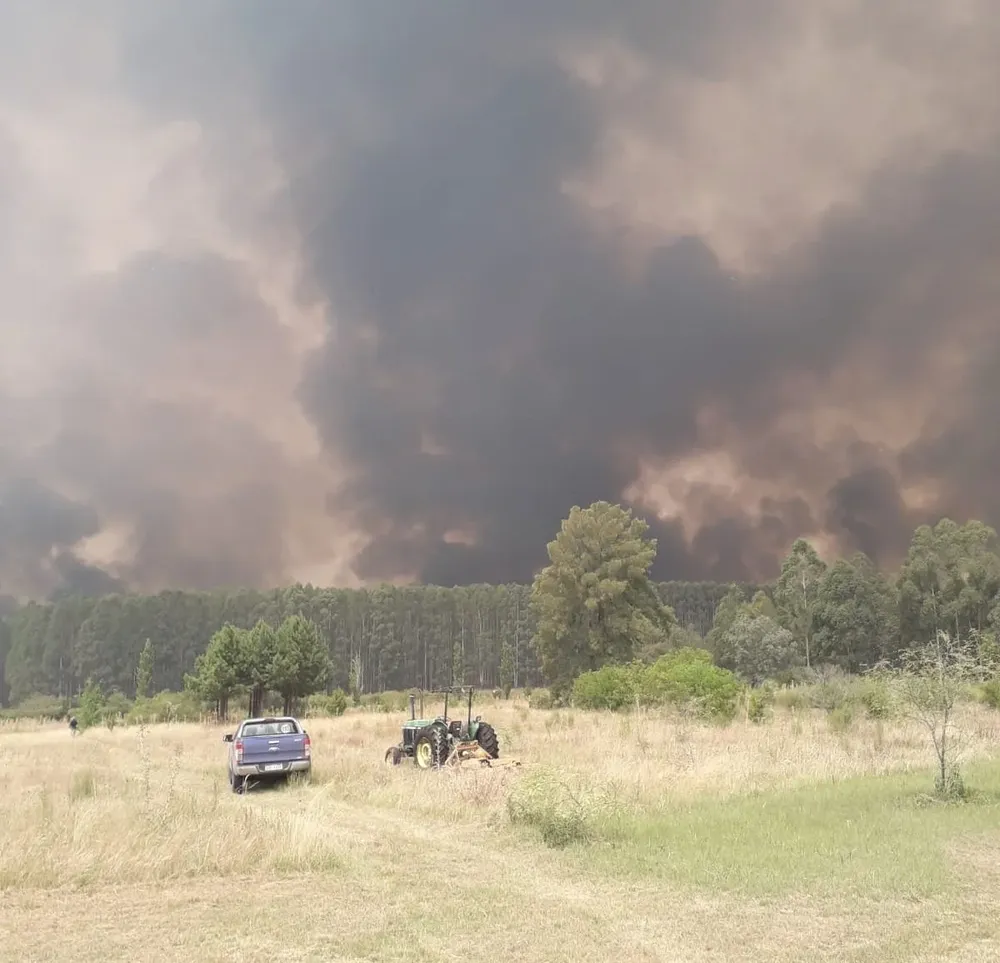 El fuego se extendió rápidamente por el viento y las altas temperaturas.