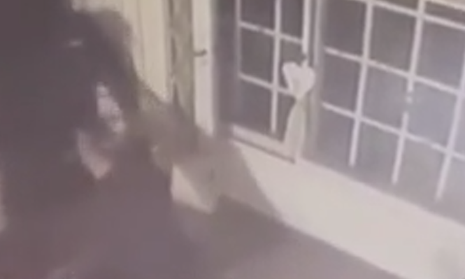 Inseguridad en Temperley: una familia enfrentó a delincuentes de una manera insólita