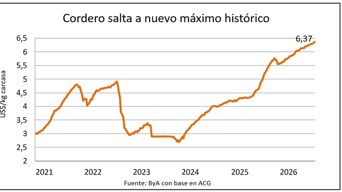 Un buen combo ovino: récord para los corderos, salto en la faena y suba en el precio de exportación